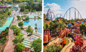 Ticket Plus MAX 2 Días 2 Parques: PortAventura Park y Caribe Aquatic Park